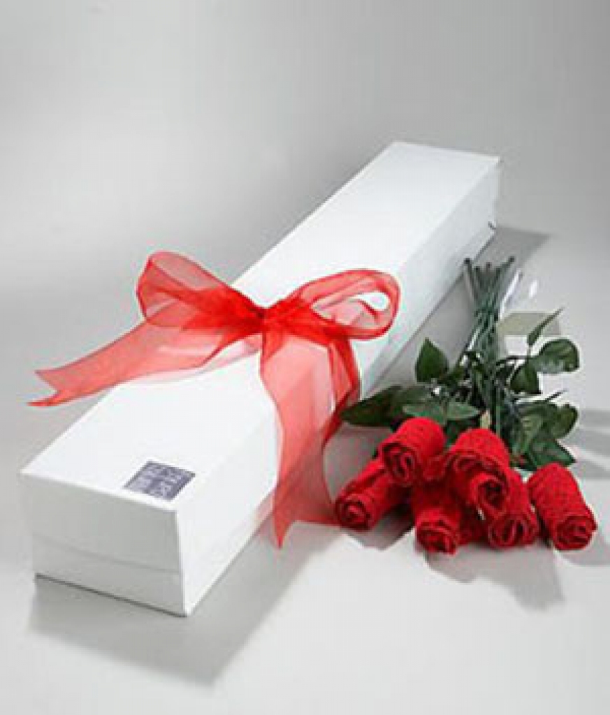 Autors: no www.ista.lv