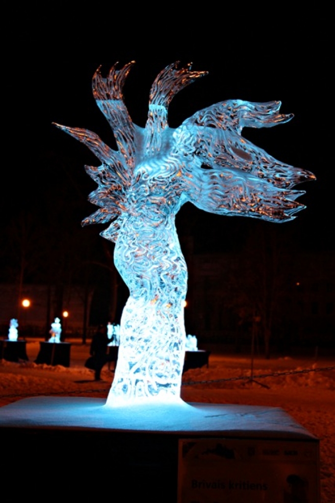 1.vieta – Sandis Kondrāts (Latvija) „Brīvais kritiens”.
Autors: no JPPA 