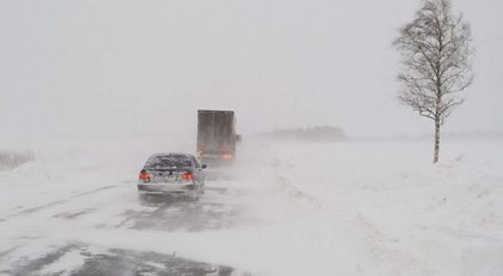 Autors: no www.delfi.lv