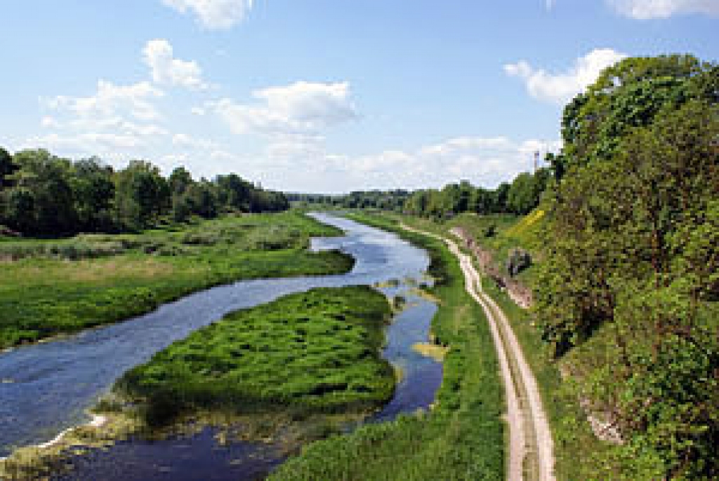 Mūsa.
Autors: no «Bauskas Dzīves» arhīva