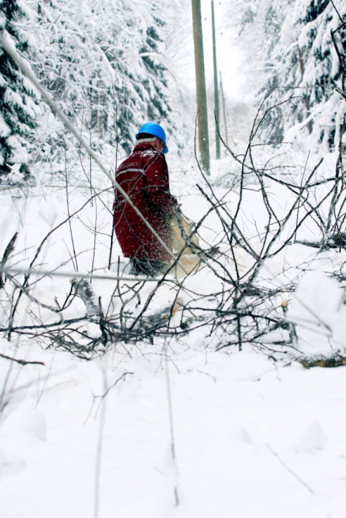 Attēlam ilustratīva nozīme.
Autors: no www.edijsfoto.lv