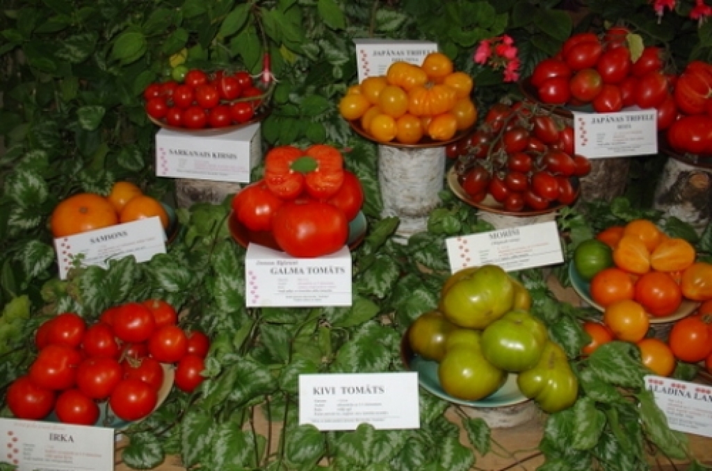 Fotoattēlam ilustratīva nozīme.
Autors: kekava.lv