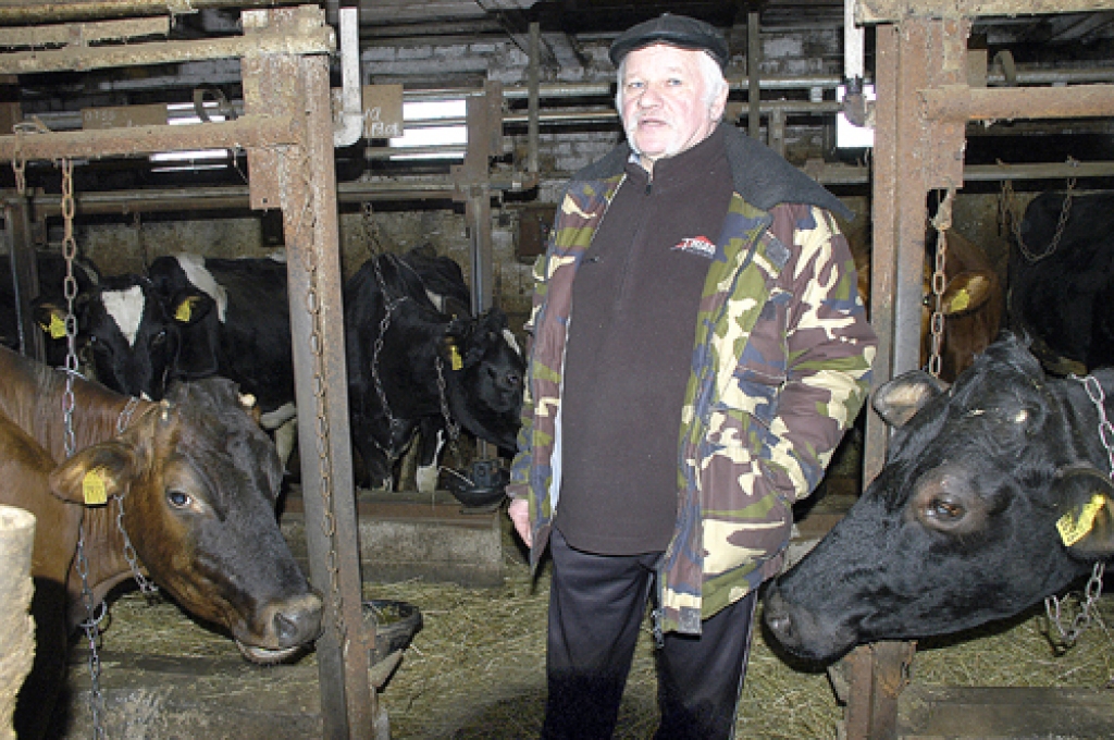 Aivara Auziņa fermas «Grantskalni» piena devējām ir upju vārdi, tikai viena vēl «bērnudārzā» mītošā telīte nosaukta par Lēdiju, jo uzvedas ļoti smalki, skaidro saimnieks.