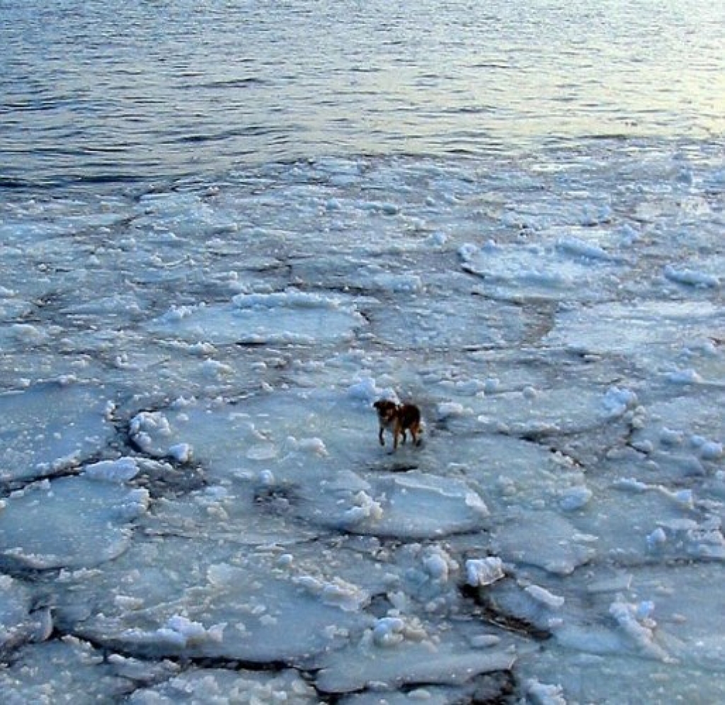 Attēlam ilustratīva nozīme.
Autors: popfi.com