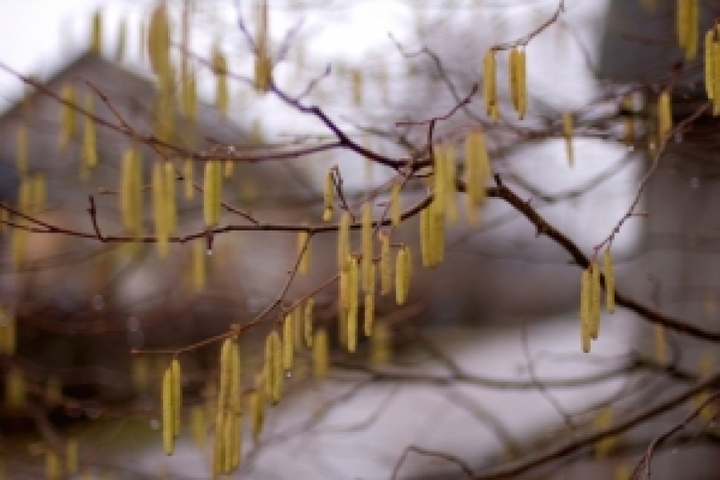 Fotoattēlam ilustratīva nozīme.