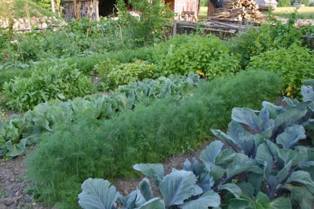 Fotoattēlam ilustratīva nozīme.