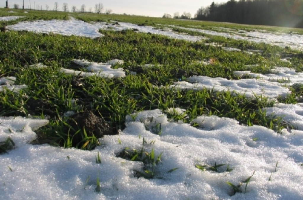 Fotoattēlam ilustratīva nozīme.
Autors: ntz.lv