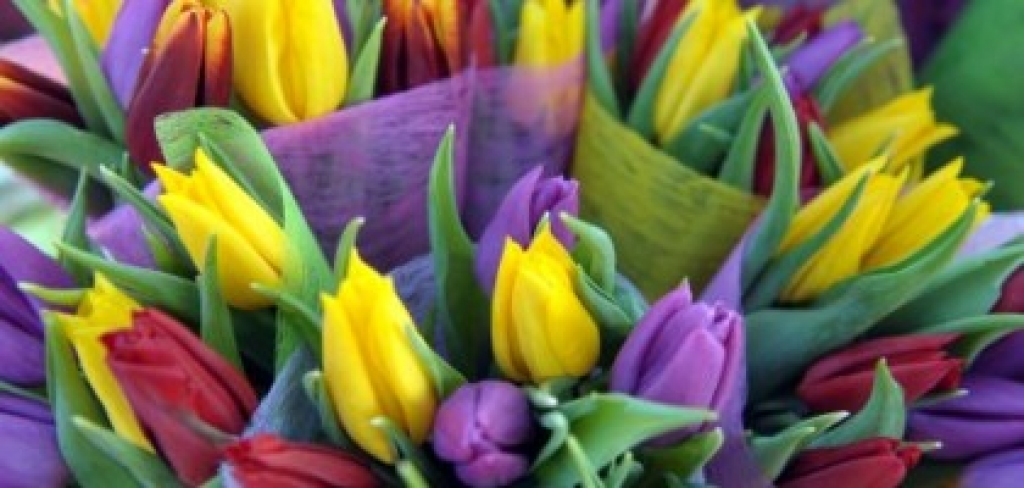 Autors: LETA no www.apollo.lv