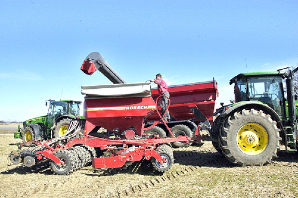 SIA «Lielmežotne» jāpārsēj aptuveni četri simti hektāru ziemas rapšu, piektā daļa ziemas kviešu.