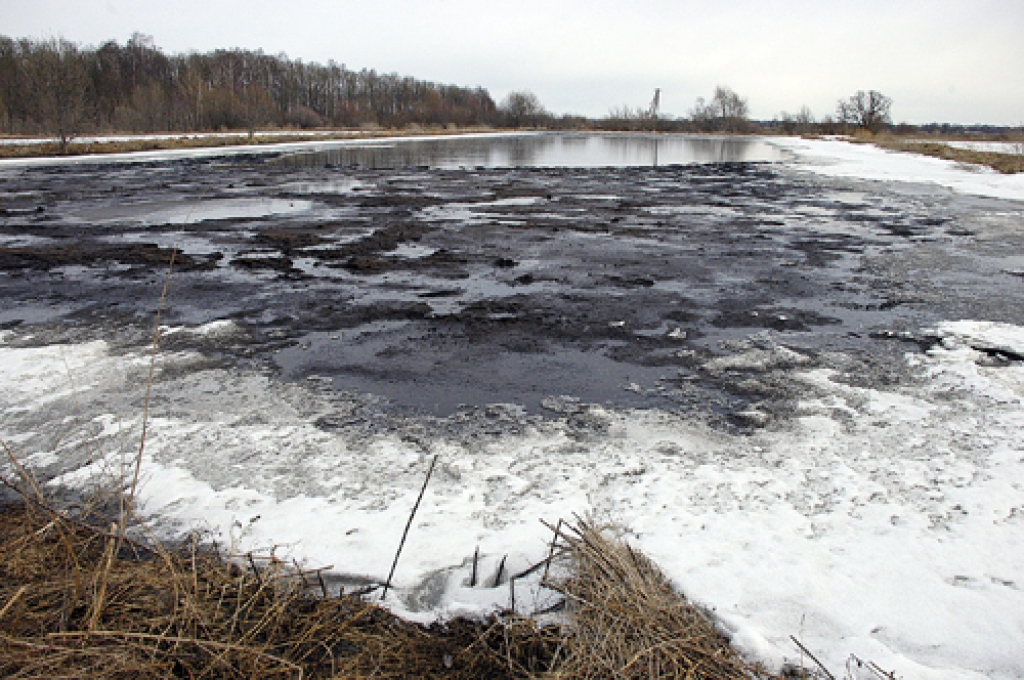 Pārpildītie vircas dīķi pie cūku nobarošanas kompleksa «Uzvara-strauti».