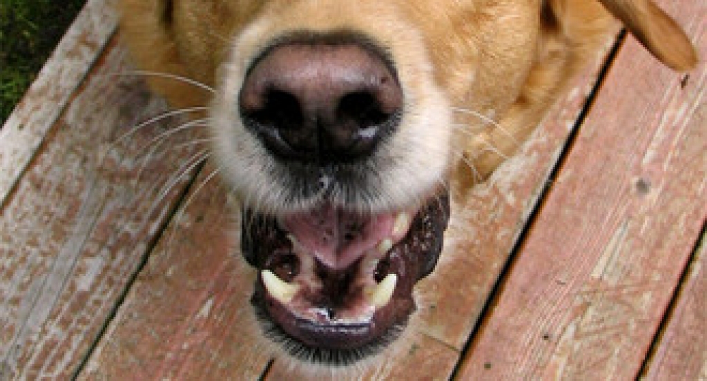 Attēlam ilustratīva nozīme.
Autors: no www.unity.lv