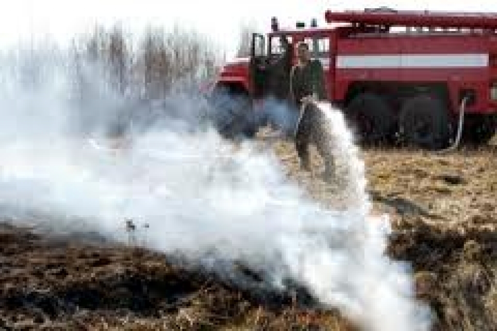 Autors: no «Bauskas Dzīves» arhīva.