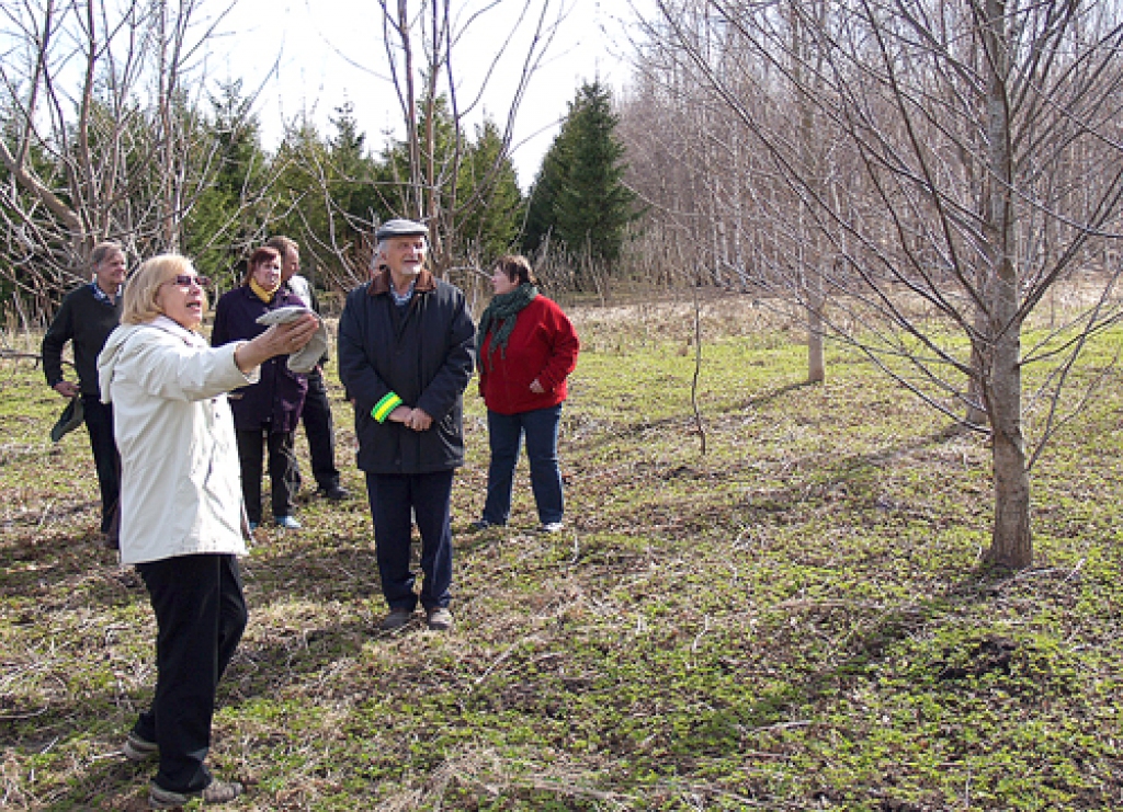 Mežzinātnes institūta «Silava» doktore Mudrīte Daugaviete (baltā virsjakā no kreisās) stāsta semināra dalībniekiem par Iecavas novada «Gaiļu» saimnieka Andreja Jansona (ceturtais no labās) īpašumā ierīkotajiem eksperimentālajiem bērzu un melnalkšņu plantāciju stādījumiem.
Autors: Antra Ērgle