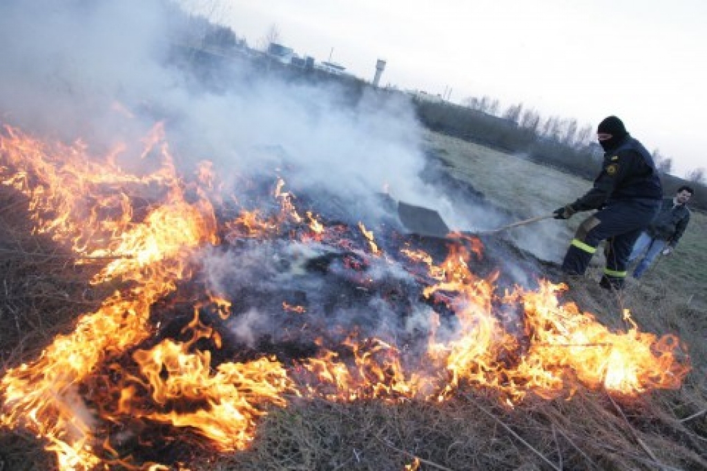 Fotoattēlam ilustratīva nozīme.
Autors: nra.lv