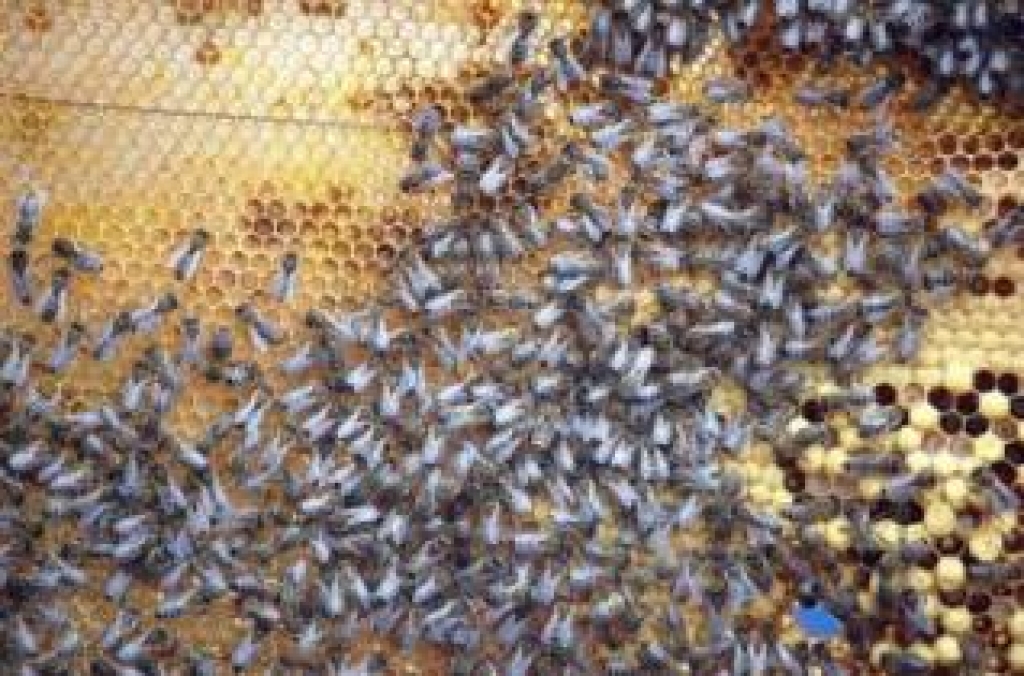 Fotoattēlam ilustratīva nozīme.
Autors: reitingi.lv