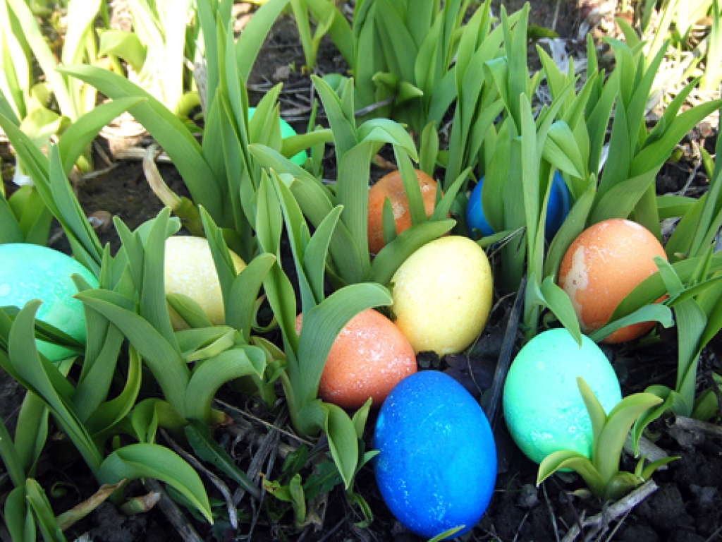 Autors: Baiba Salgrave