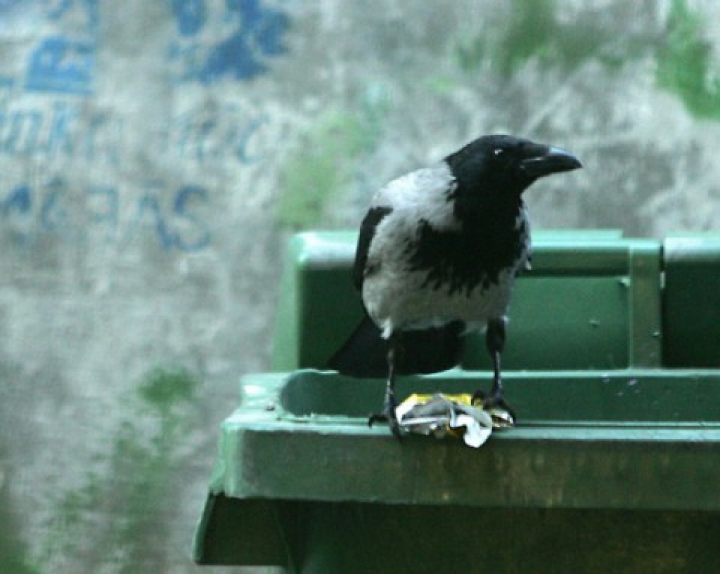 Fotoattēlam ilustratīva nozīme.
Autors: nra.lv