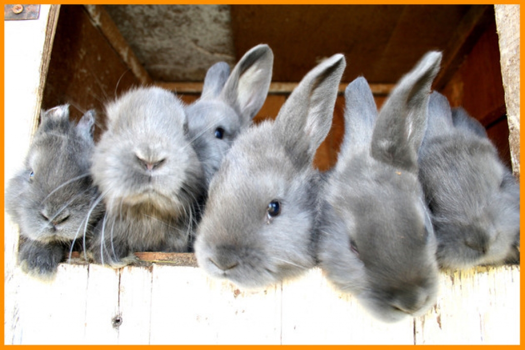 Attēlam ilustratīva nozīme.
Autors: viss.lv