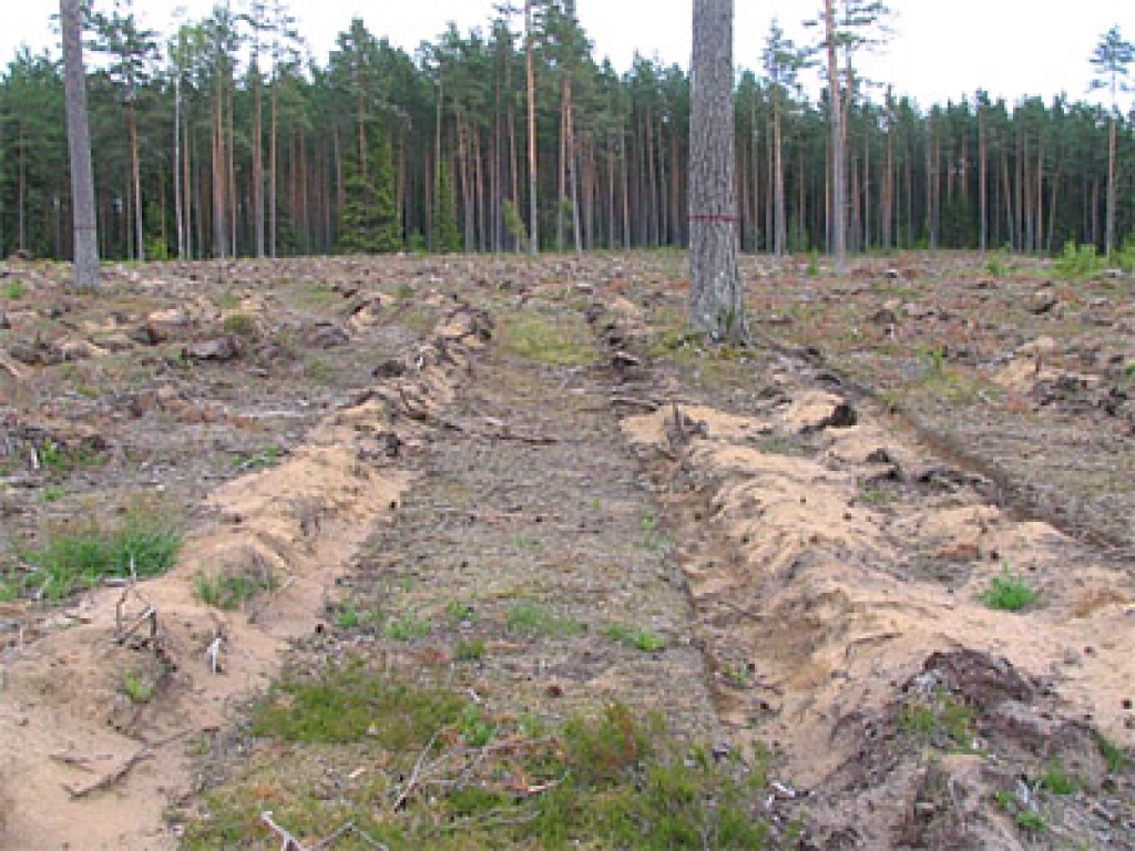 Fotoattēlam ilustratīva nozīme.