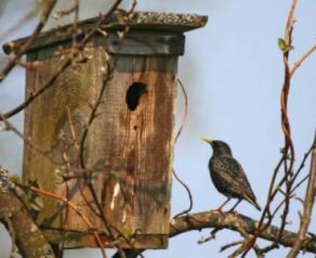 Attēlam ilustratīva nozīme.
Autors: reitingi.lv