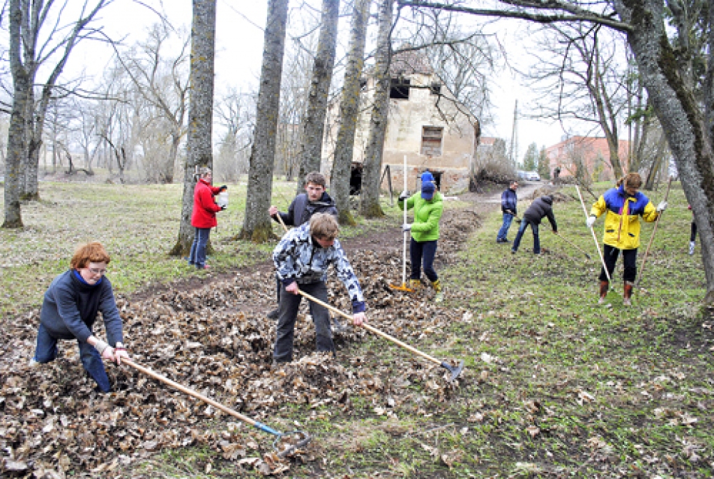 Garozas muižas parka sakopšanā 16. aprīlī iesaistījās tikai tie Mežotnes internātvidusskolas audzēkņi, kas nedēļas nogali pavada kopmītnēs, taču rīt, 19. aprīlī, talkos visa skolas saime.
Autors: Juris Iļņickis