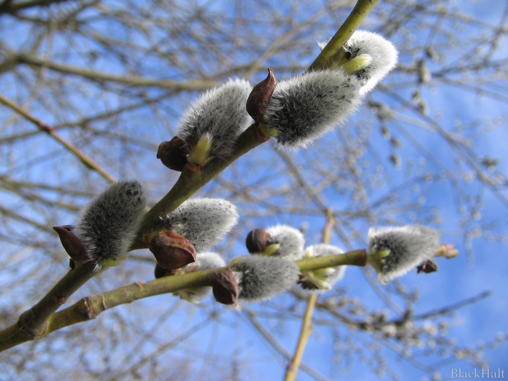 Fotoattēlam ilustratīva nozīme.