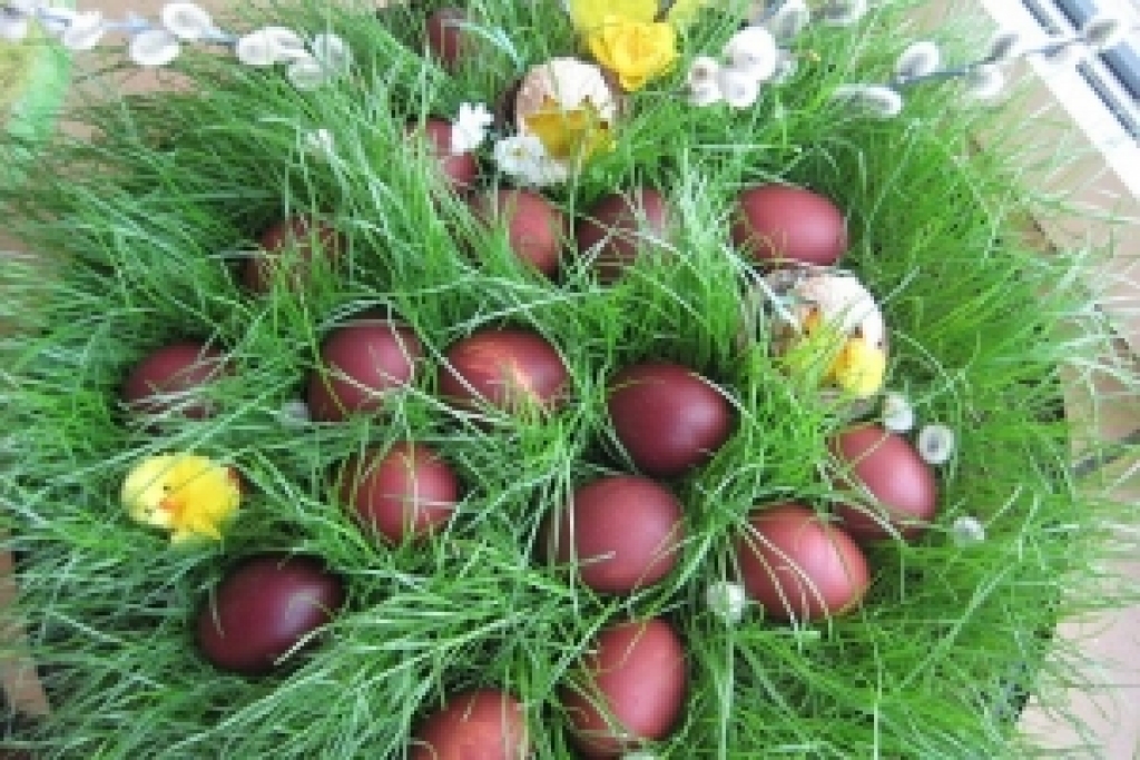 Fotoattēlam ilustratīva nozīme