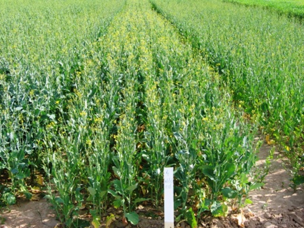 Fotoattēlam ilustratīva nozīme.