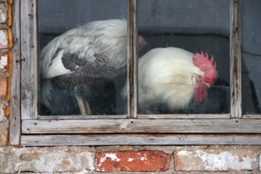 Fotoattēlam ilustratīva nozīme
Autors: apollo.lv