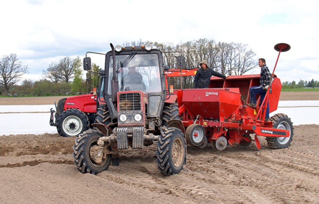 Kartupeļu stādīšana Iecavas novada «Kalna Jurģēnu» saimniecībā patlaban ir pusē – priekšstrādnieks Voldemārs Barovskis (vada traktoru) ar palīgiem Vadimu un Tomu desmit dienās apstādījuši 35 hektārus.