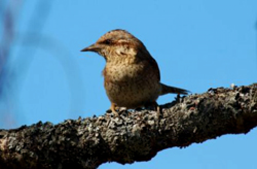 Fotoattēlam ilustratīva nozīme.