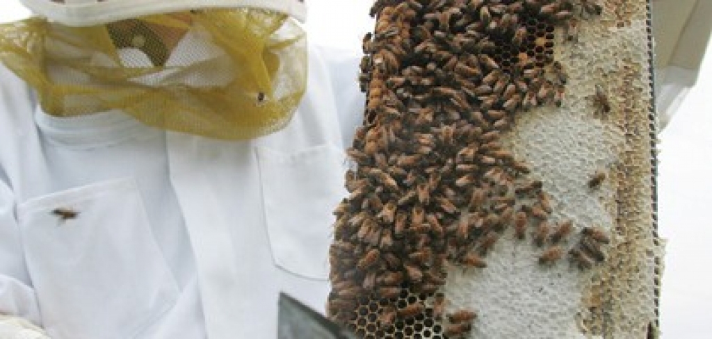 Fotoattēlam ilustratīva nozīme.
Autors: apollo.lv