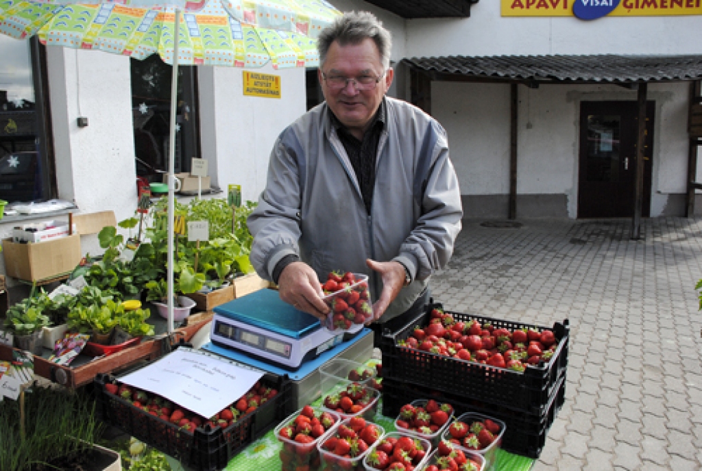 Oskars Spalis Bauzes tirgū zemenes realizēja par sešiem latiem kilogramā.
Autors: Ivars Bogdanovs