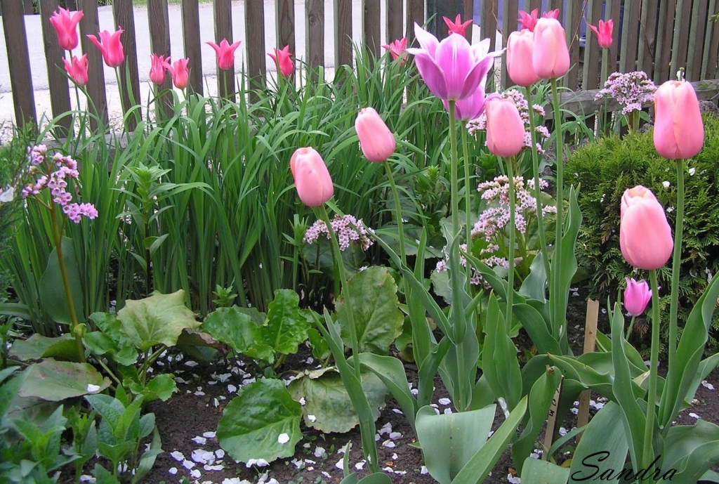 Fotoattēlam ilustratīva nozīme.