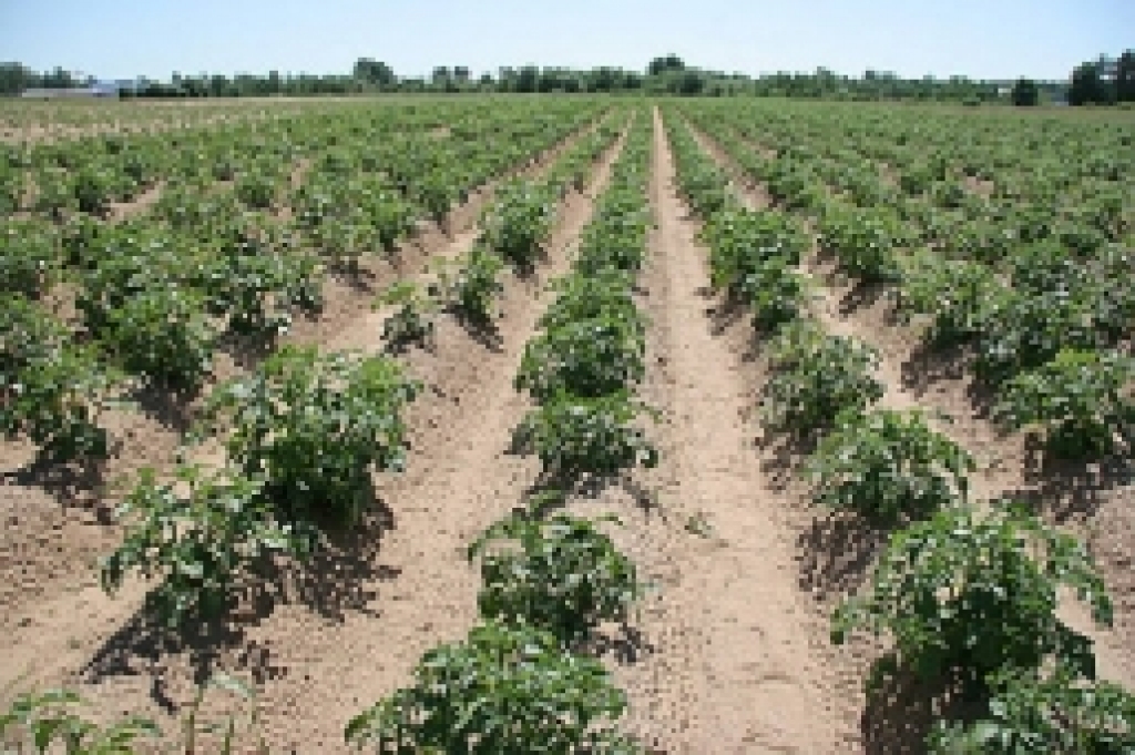 Fotoattēlam ilustratīva nozīme.
Autors: www.2la.lv