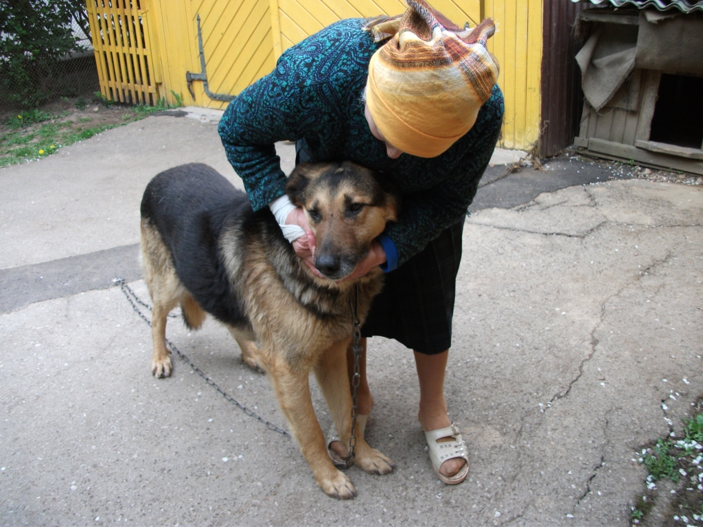 Džekiņš, nonācis baušķenieces Broņislavas Zarembo mājās, ir atguvis ne tikai māju, bet arī dzīvesprieku.
Autors: Kristaps Ābelnieks