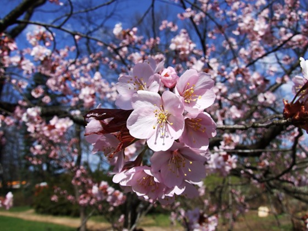 Fotoattēlam ilustratīva nozīme.