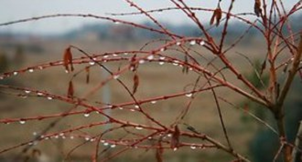 Fotoattēlam ilustratīva nozīme.