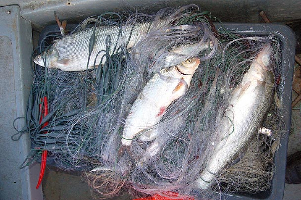 Fotoattēlam ilustratīva nozīme.