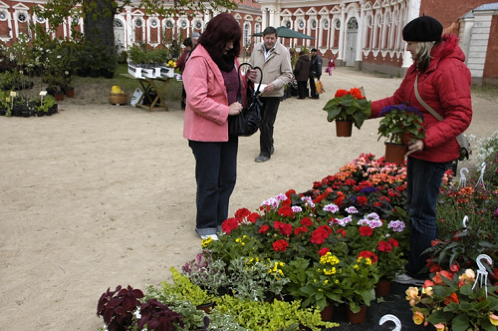 Brunaviete Ilona Stankeviča (no labās) interesentiem stāsta, kā pareizi kopt un laistīt vasaras puķes. 
Autors: Ivars Bogdanovs