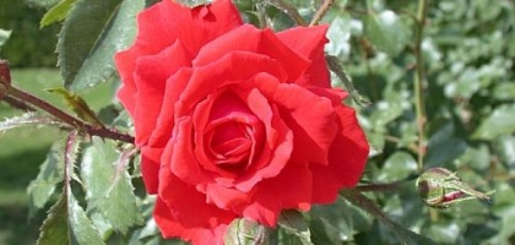 Fotoattēlam ilustratīva nozīme.
Autors: apollo.lv