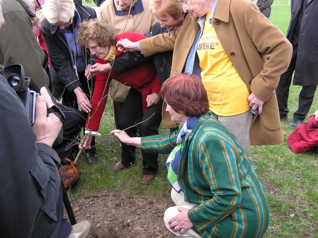 Likteņdārzā koru pārstāvji iestādīja ozoliņu. Priekšplānā - baušķeniece no 