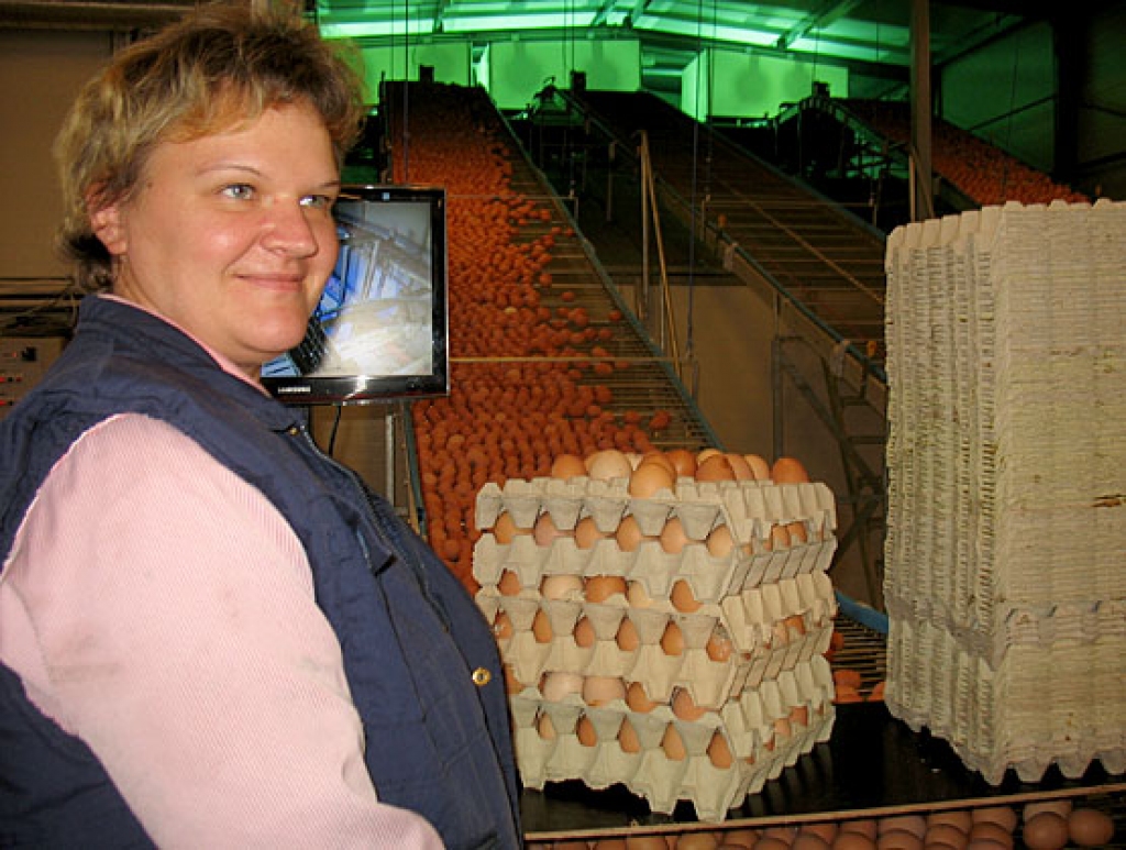 Autors: No «Bauskas Dzīves» arhīva.