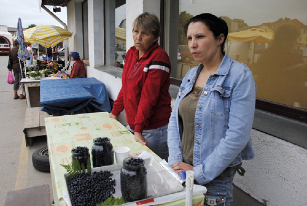 Dāvinietes Ļena (no labās) un Aija zina teikt, ka skuju koku mežos lasītās ogas ir saldākās nekā lapu koku pavēnī atrastās. Tā kā bijis saulains laiks, salduma netrūkstot arī šīs sezonas pirmajām ogām.
Autors: Ivars Bogdanovs