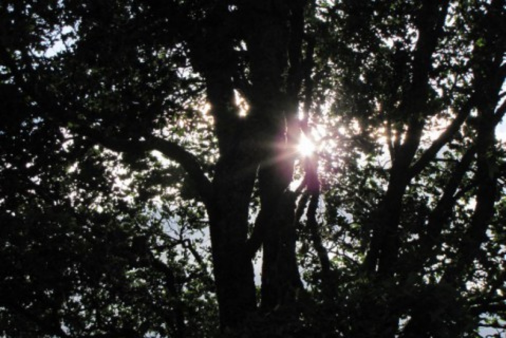 Fotoattēlam ilustratīva nozīme.
Autors: nra.lv