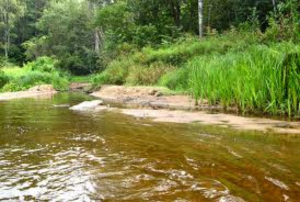 Fotoattēlam ilustratīva nozīme.