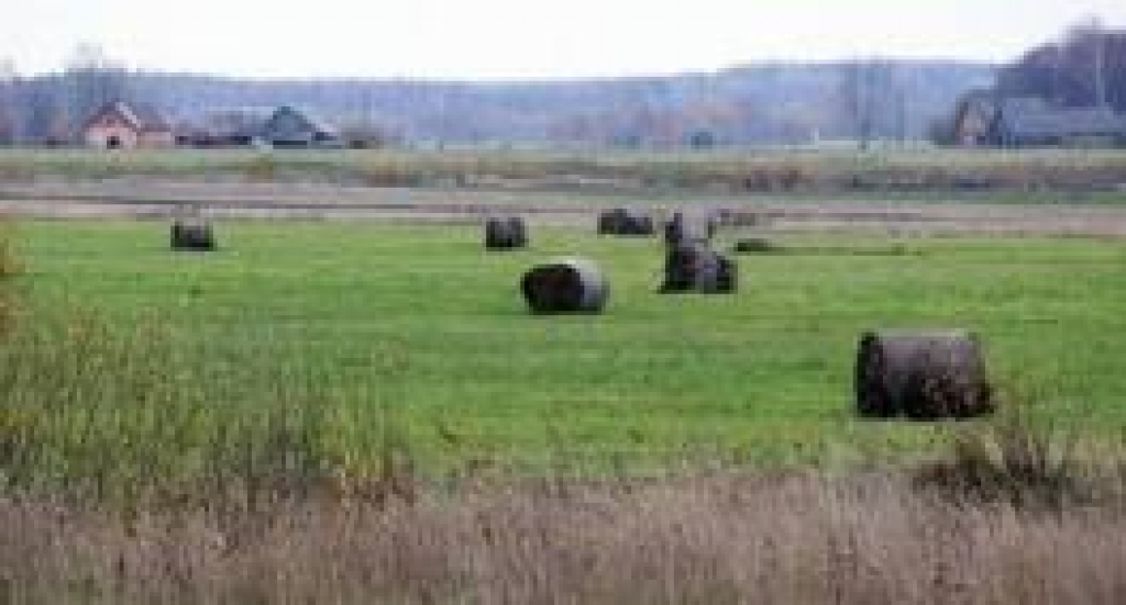 Fotoattēlam ilustratīva nozīme.