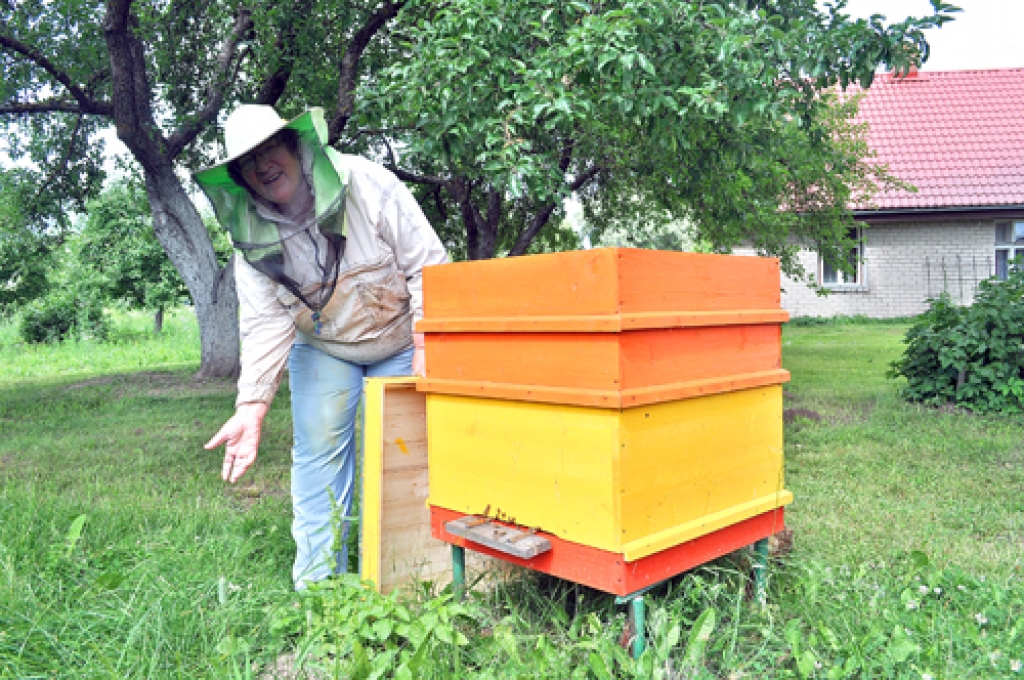 Ruta Āboliņa, Iecavas novada biteniece, pirmo šīs vasaras medus sviedumu jau nodevusi garšotājiem.
Autors: Guntis Ērglis