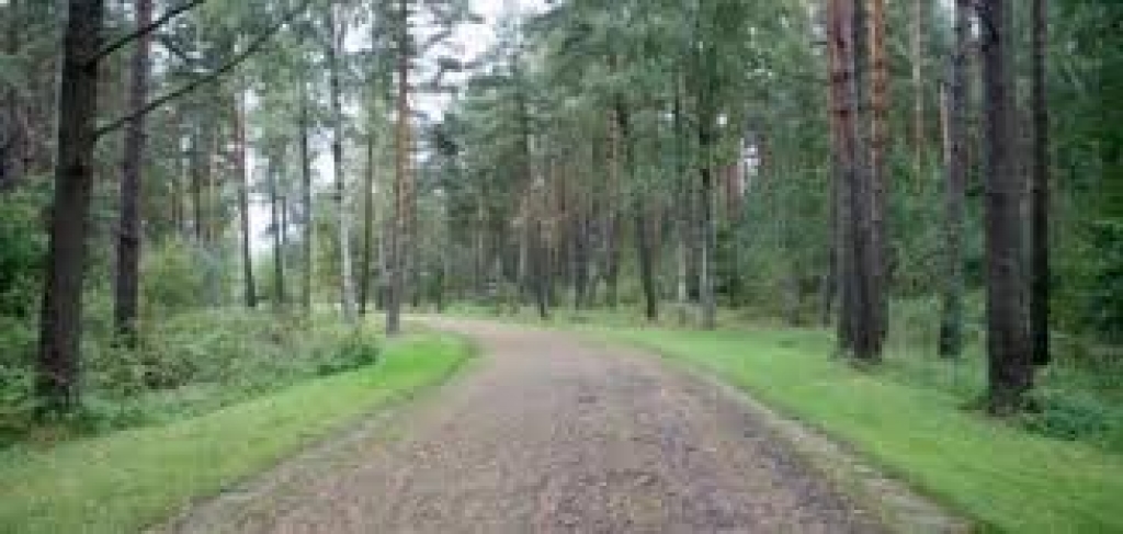 Fotoattēlam ilustratīva nozīme.
Autors: apollo.lv