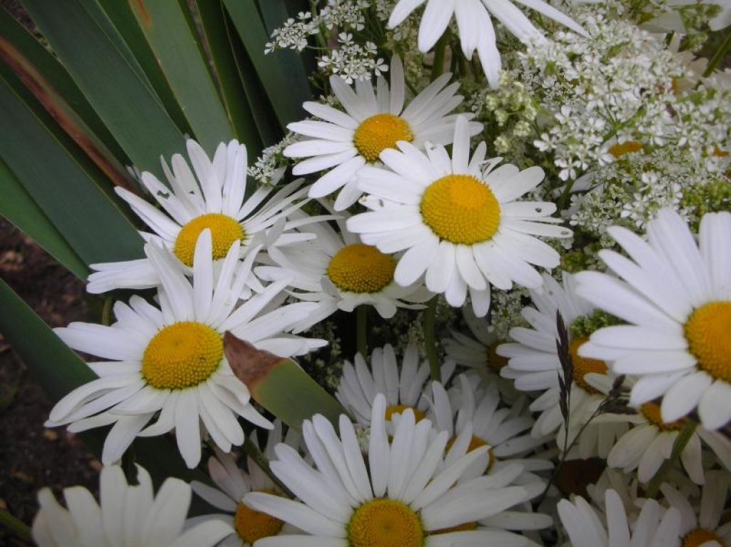 Fotoattēlam ilustratīva nozīme.